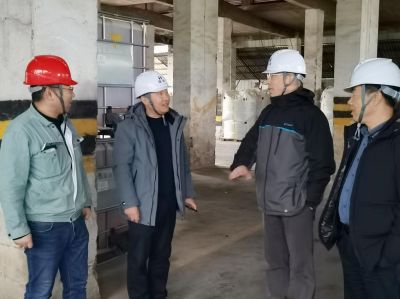 總公司領(lǐng)導(dǎo)一行蒞臨蒙山梧華指導(dǎo)工作